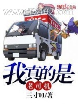 《我真的是老司机》全本TXT下载-作者：三寸01