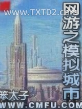 《网游之模拟城市》全本TXT下载-作者：笨太子