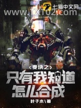 《麦块之只有我知道怎么合成》全本TXT下载-作者：叶子木