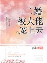 《二婚被大佬宠上天》全本TXT下载-作者：桑间