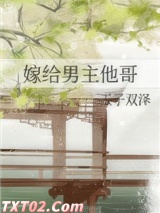 《嫁给男主他哥》全本TXT下载-作者：玉子双泽