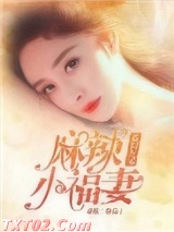 重回九零麻辣小福妻图片