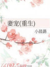 《妻宠(重生)》全本TXT下载-作者：小晨潞