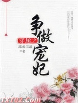 《穿越之争做宠妃》全本TXT下载-作者：冰寒玉萧
