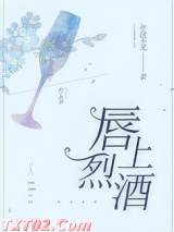 《唇上烈酒》全本TXT下载-作者：年深不见