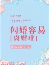 闪婚容易离婚难图片