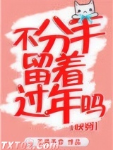 《不分手留着过年吗》全本TXT下载-作者：王辰予弈