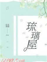 《琉璃屋》全本TXT下载-作者：长安夜雨