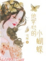 《他掌心的小蝴蝶》全本TXT下载-作者：雪厘