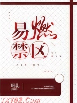 《易燃禁区》全本TXT下载-作者：昭乱