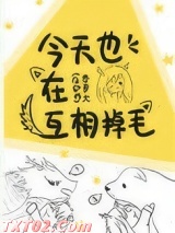《今天也在互相掉毛》全本TXT下载-作者：景萝