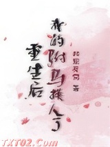重生后我的驸马换人了图片