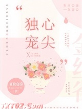《心尖独宠[豪门]》全本TXT下载-作者：五枚金币