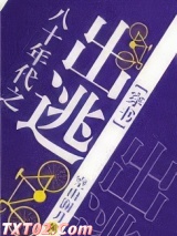 八十年代之出逃[穿书]图片