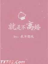 就是不离婚图片