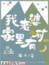 我老婆家里有矿图片