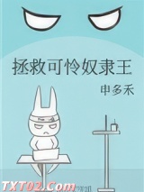 《拯救可怜奴隶王》全本TXT下载-作者：申多禾