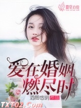 爱在婚姻燃尽时图片