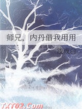师兄，内丹借我用用图片