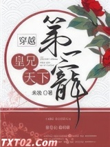 皇兄天下第一宠（穿越）图片