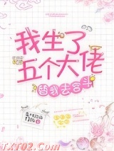 我生了五个大佬替我去宫斗(清穿)图片