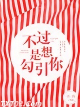 《不过是想勾引你》全本TXT下载-作者：一吾一约