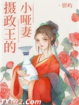 摄政王的小哑妻图片