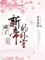 成了新帝的外室图片