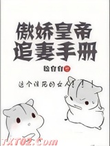 《傲娇皇帝追妻手册》全本TXT下载-作者：脸白白