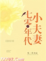 《七零年代小夫妻》全本TXT下载-作者：莫二月